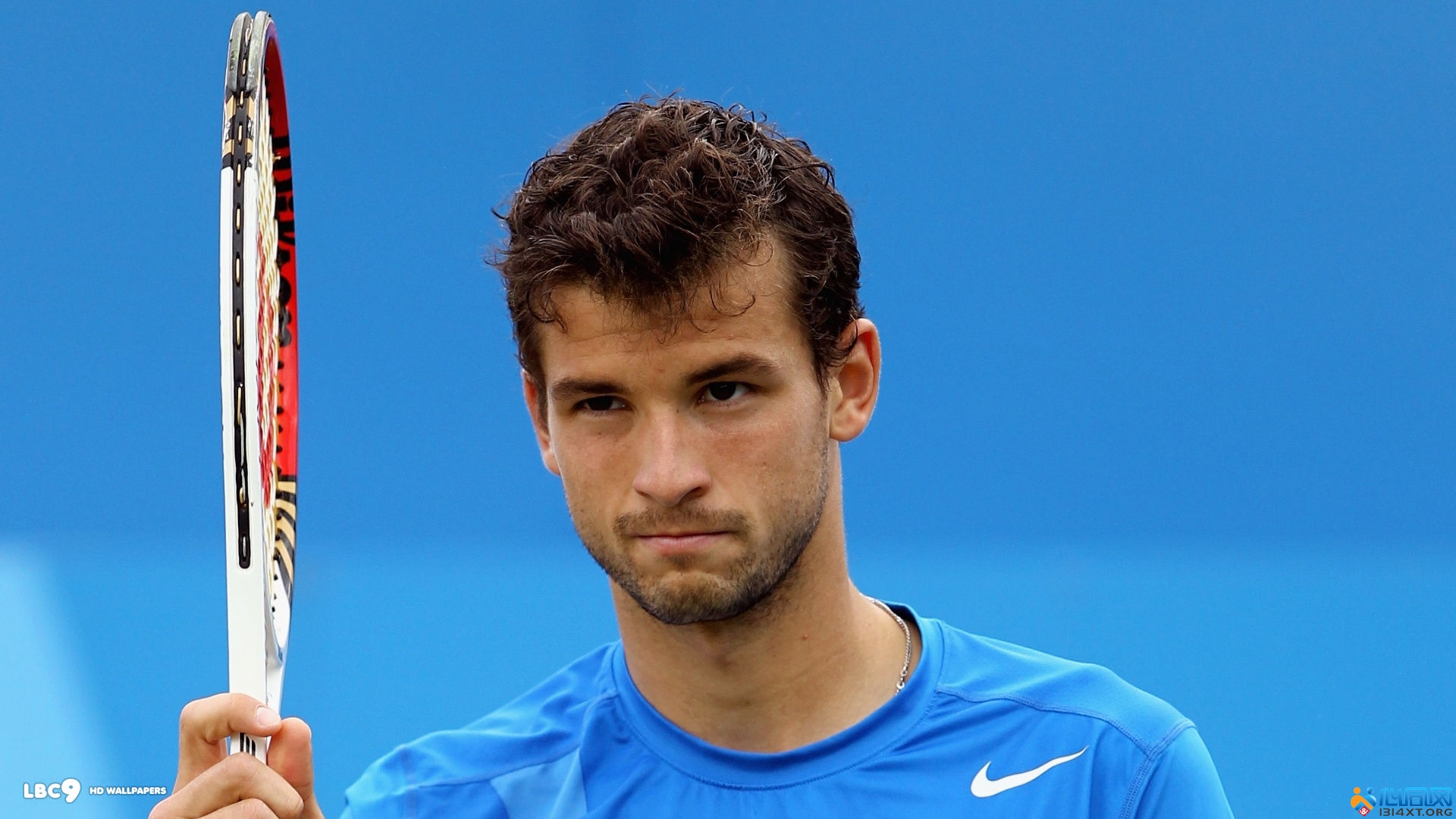 球迷互动助 球迷互动助